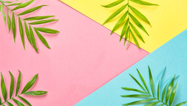 istock Green palm leaves Floral flat lay Holidays concept 950903608