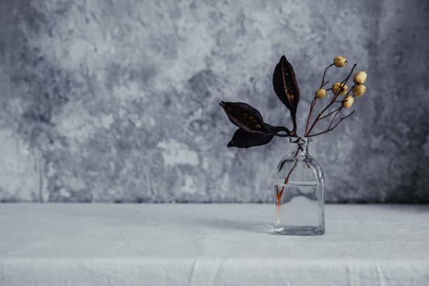 istock Dried flower in bottle, minimalism in still life. Copy space background 950907998