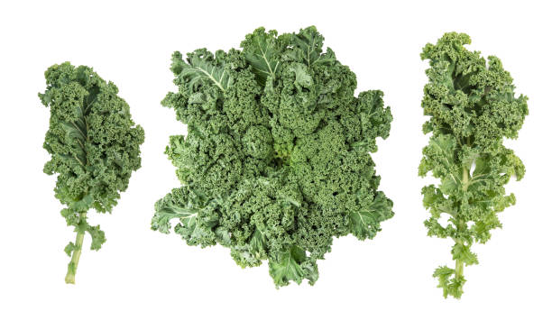 istock Kale cabbage Green vegetable leaf Healthy eating Super foods 950908980