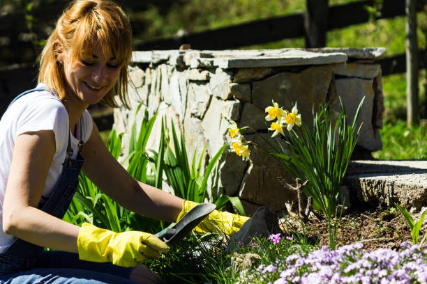 istock Young woman gardening 950913790