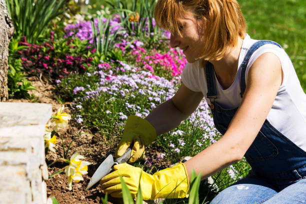 istock Young woman gardening 950913844