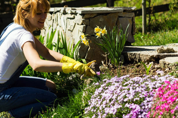 istock Young woman gardening 950914068
