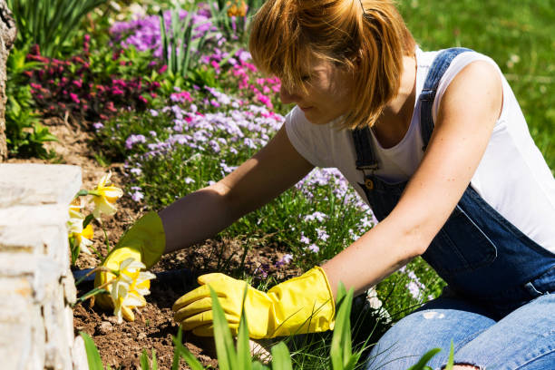 istock Young woman gardening 950914152