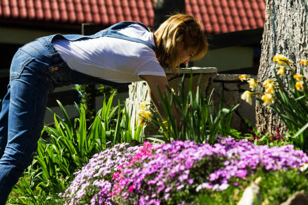 istock Young woman gardening 950914220