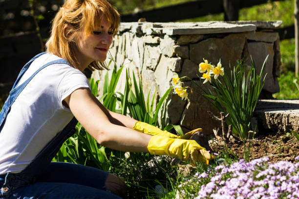 istock Young woman gardening 950914286