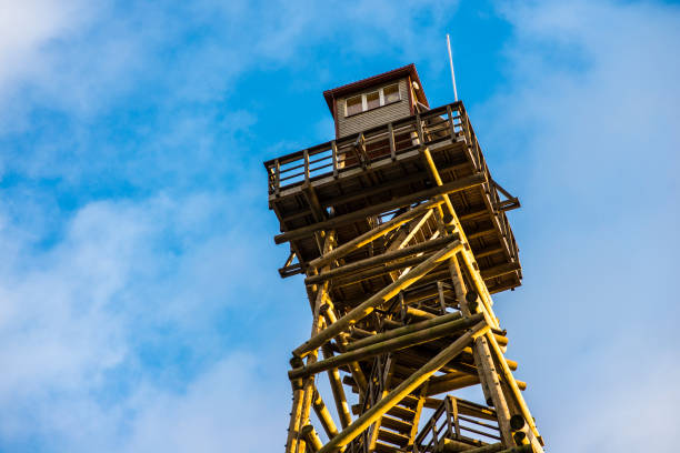 istock Close-up of a yellow viewing tower, Latvia 950914326