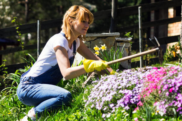 istock Young woman gardening 950914336