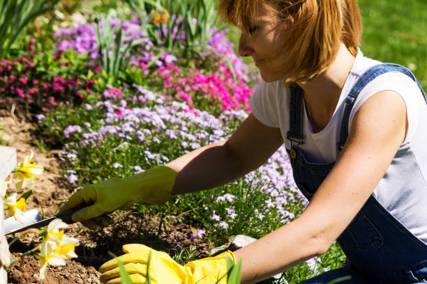 istock Young woman gardening 950914424