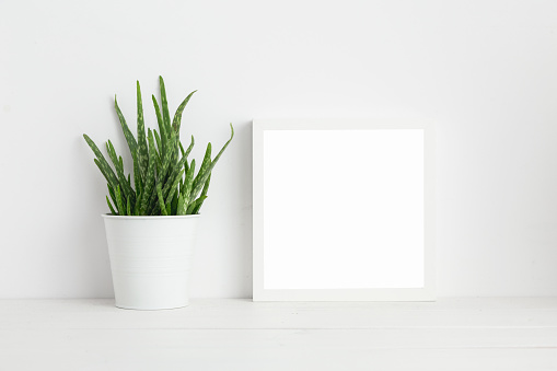 Mock up white frame and aloe vera plant on book shelf or desk. White colors.