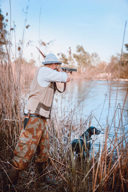 istock Hunter with his Dog Hiding in the Reed Waiting for Action 950919614