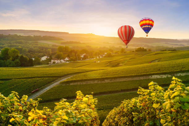 colorful hot air balloons flying over champagne vineyards at montagne de reims, france - montagne sol imagens e fotografias de stock
