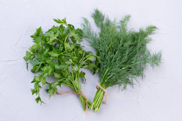 istock Fresh garden dill and parsley. 950927292