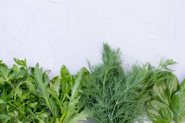 istock Row of green herbs and copy space. 950927312
