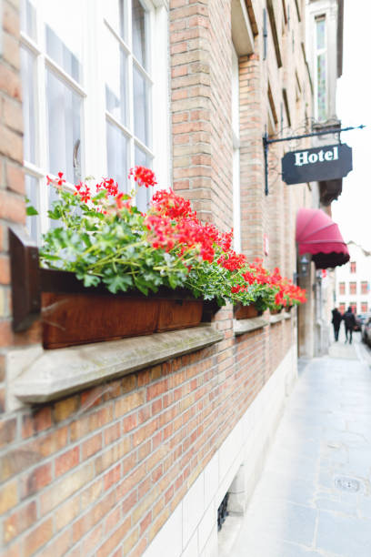 istock Building fragment of hotel in Bruges 950938162