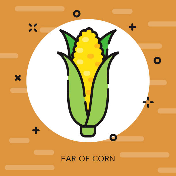 Corn Open Outline Thanksgiving Icon vector art illustration