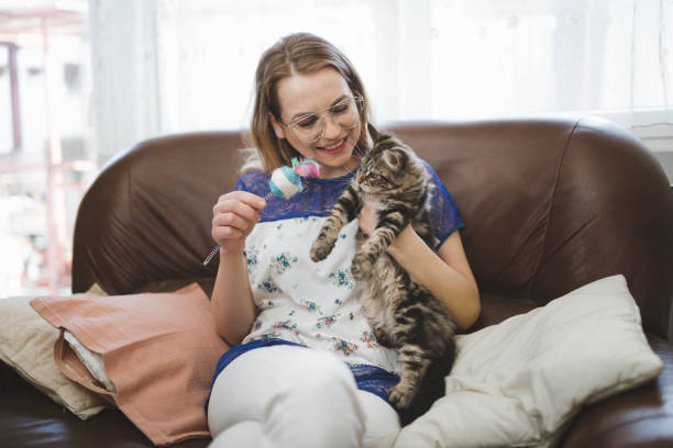 istock Woman playing with her cat at home 950965214