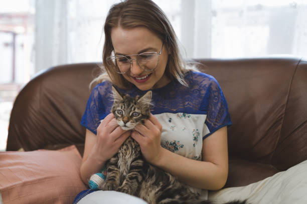 istock Woman playing with her cat at home 950965268