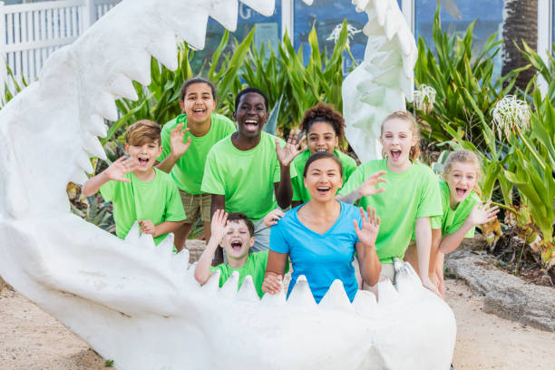 子供たち、先生に海洋公園遠足、サメのあご - field trip child learning classroom ストックフォトと画像