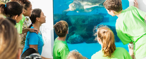 istock Multi-ethnic children, teacher looking at aquarium 950966324