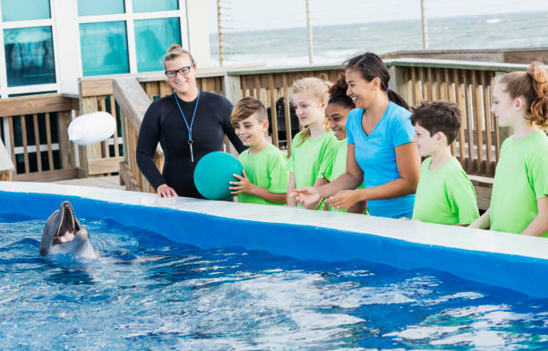 istock Children on field trip, dolphin, trainer at marine park 950966398