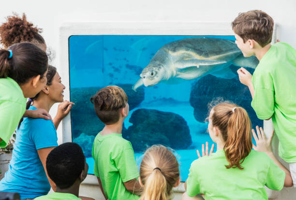 istock Multi-ethnic children, teacher looking at aquarium 950966482