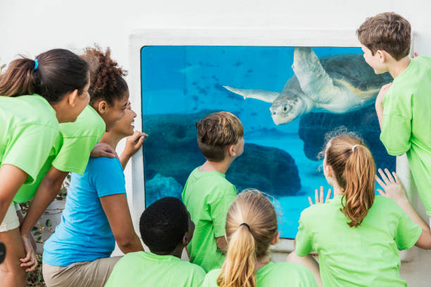 Multi-ethnic children, teacher looking at aquarium
