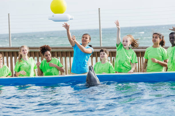 dzieci, nauczyciel w parku morskim, zabawki z delfinami - discovery elementary school field trip zoo zdjęcia i obrazy z banku zdjęć