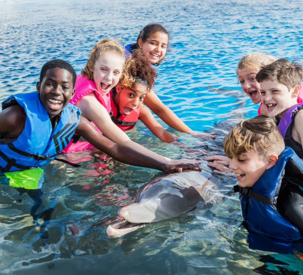 istock Children in water interacting with dolphin 950968934