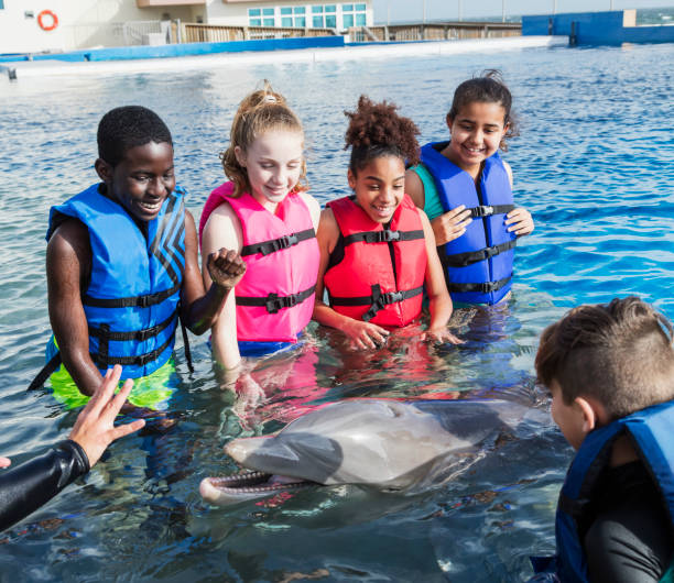istock Children in water interacting with dolphin 950968938