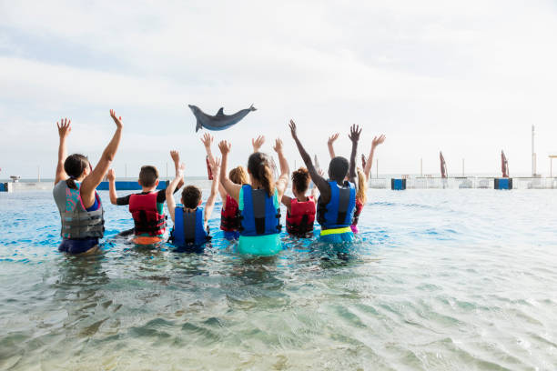 the bottlenose dolphin are playing in the water splashing about