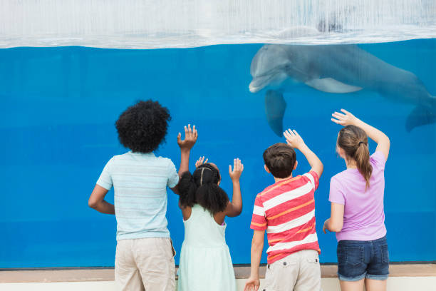 istock Four children watching dolphin thru underwater window 950969616