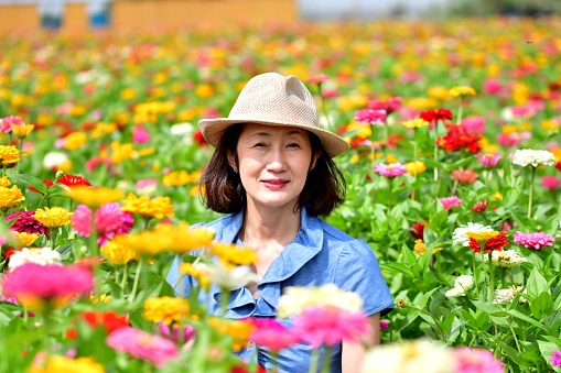 A Japanese woman is surrounded by colorful zinnia flowers. 
Zinnia is a genus of about 20 species of annual plants of daisy family. Zinnia has a bright, solitary, daisy-like flower-head on a single, erect stem and bloom in a wide variety of colors with large, mixed flowers.