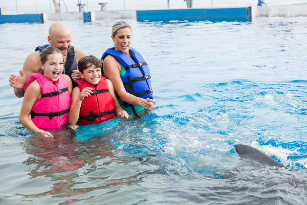 istock Family interacting with dolphin at marine park 950969942