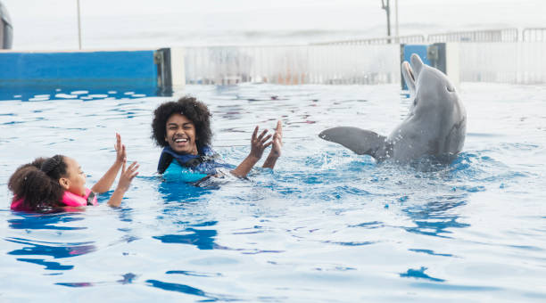 istock Two children in the water playing with a dolphin 950970228