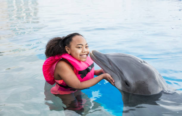 Little girl in water with dolphin getting a kiss A mixed race African-American and Caucasian 9 year old girl visiting a marine education park. She is in the water with a bottlenose dolphin. The dolphin is giving her a kiss. waist deep in water stock pictures, royalty-free photos & images