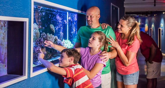 A family visiting an aquarium, looking at a saltwater fish and coral exhibit. The boy is 11 years old and his sister is 12.