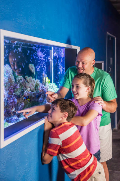 istock Father and his two children at the aquarium 950970588