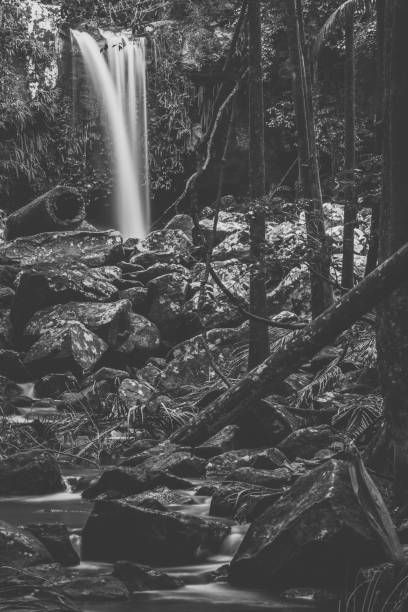 istock Curtis Falls in Mount Tamborine 950970608