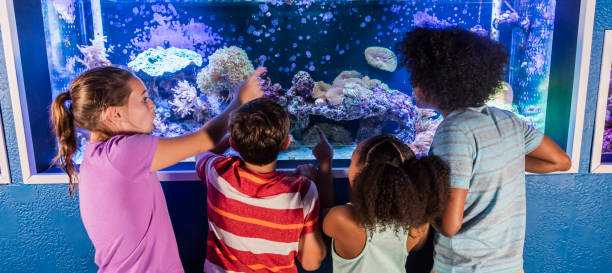 istock Multi-ethnic children at the aquarium 950970636
