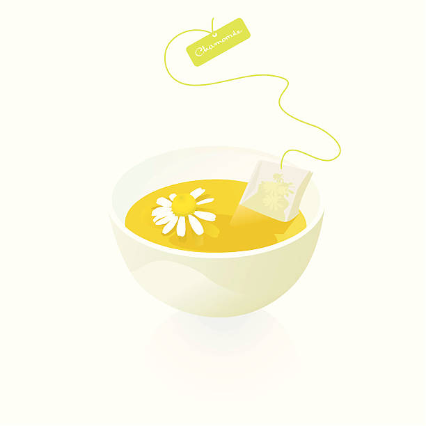 카모마일 찻잔 -design 요소 - chamomile herbal tea chamomile plant tea stock illustrations