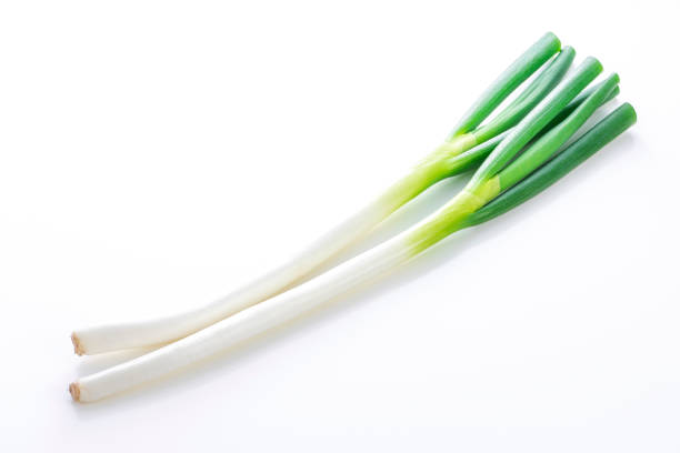 Japanese leek on white background