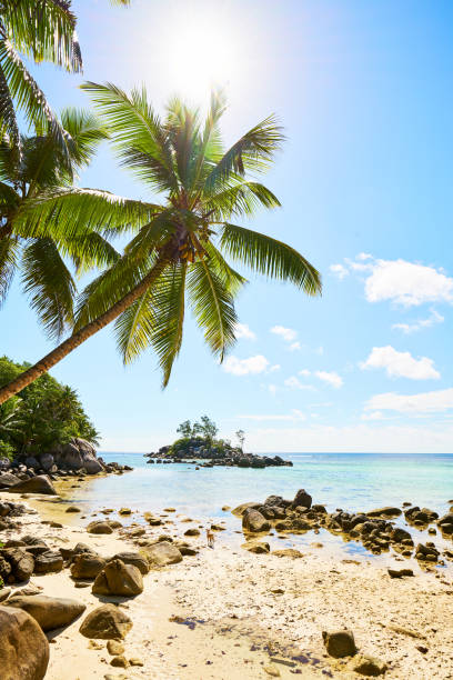 istock Little granite Mouse island (Ile Souris), Anse Royal beach, isla 950978634