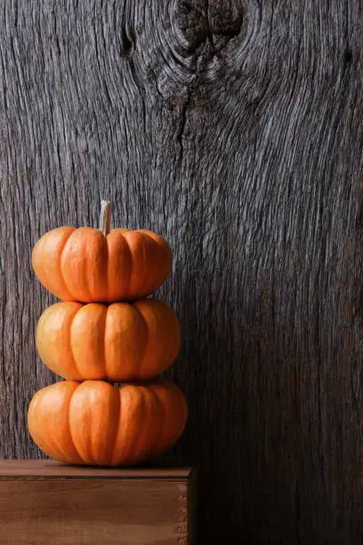 A stack of three mini decorative pumpkins against a rustic wood background.