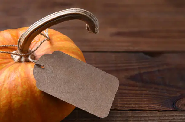 Closeup of a Pumpkin with blank gift tag ready for your copy.