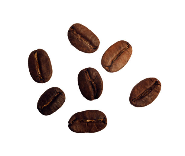 istock Grains of coffee on white background, close-up. 950981844