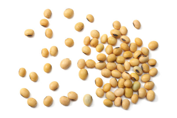 istock Soybeans isolated on white background. top view 950991426
