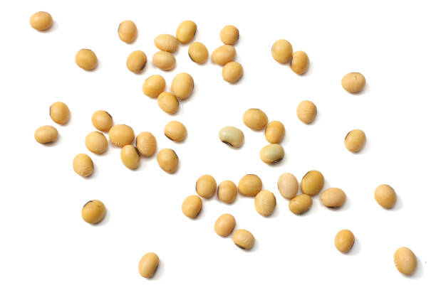 istock Soybeans isolated on white background. top view 950991428