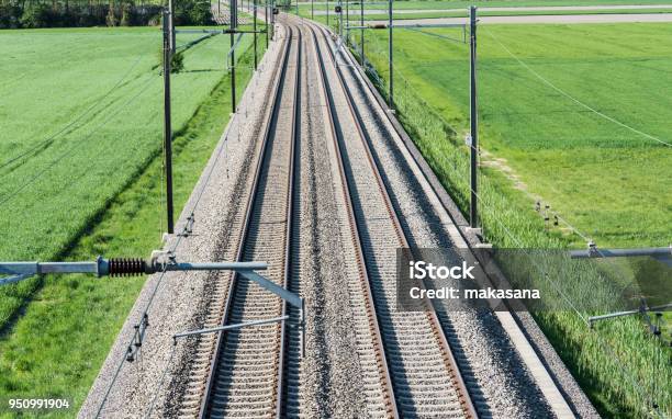 Several Railroad Tracks Leading To The Horizon In Midst Of Green Fields Stock Photo - Download Image Now