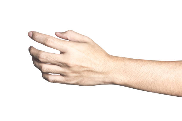 istock Hand open and ready to help or receive. Gesture isolated on white background with clipping path. 950992570