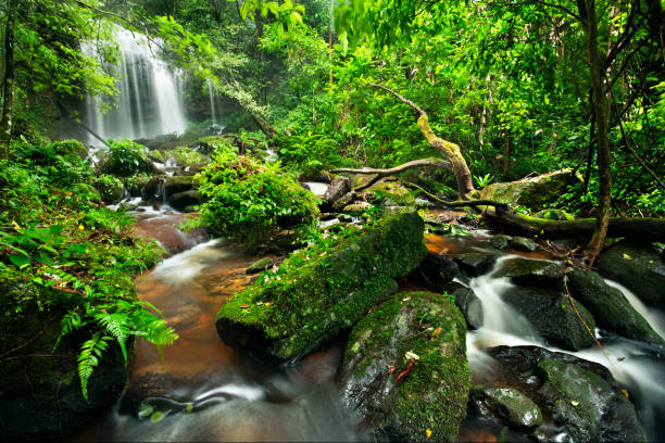 istock waterfall in thai national park. In the deep forest on mountain. 950996790